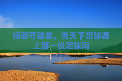 绿茵守望者，当天下足球遇上那一张足球网