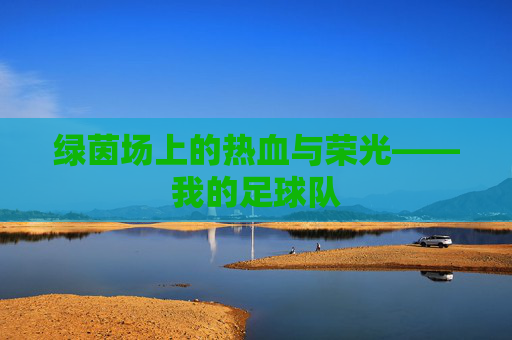 绿茵场上的热血与荣光——我的足球队