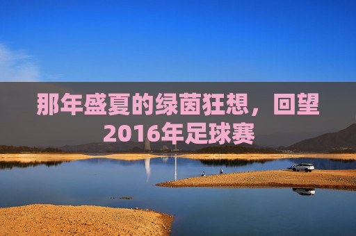 那年盛夏的绿茵狂想，回望2016年足球赛