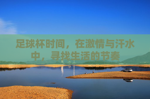 足球杯时间，在激情与汗水中，寻找生活的节奏