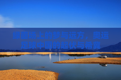 绿茵场上的梦与远方，奥运足球中国的起伏与希冀