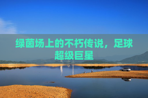 绿茵场上的不朽传说，足球超级巨星