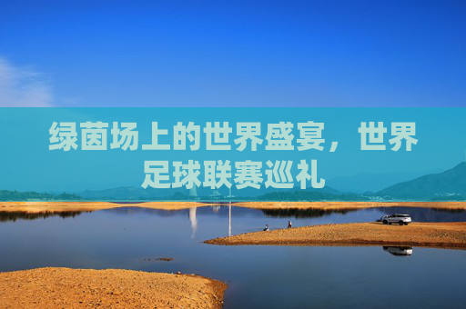 绿茵场上的世界盛宴，世界足球联赛巡礼