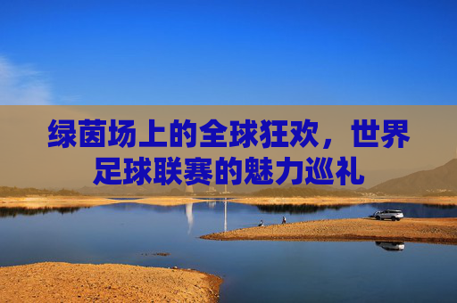 绿茵场上的全球狂欢，世界足球联赛的魅力巡礼