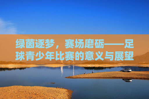 绿茵逐梦，赛场磨砺——足球青少年比赛的意义与展望
