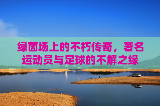 绿茵场上的不朽传奇，著名运动员与足球的不解之缘