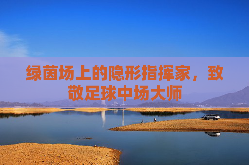 绿茵场上的隐形指挥家，致敬足球中场大师
