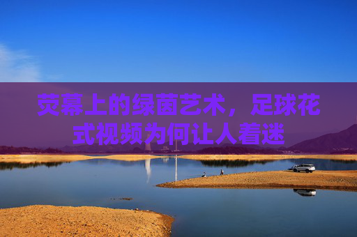 荧幕上的绿茵艺术，足球花式视频为何让人着迷