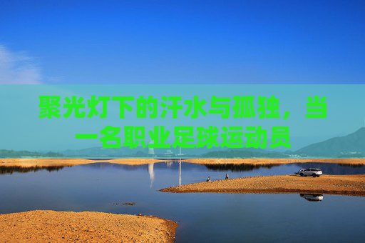 聚光灯下的汗水与孤独，当一名职业足球运动员