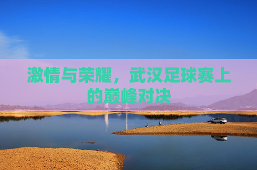 激情与荣耀，武汉足球赛上的巅峰对决