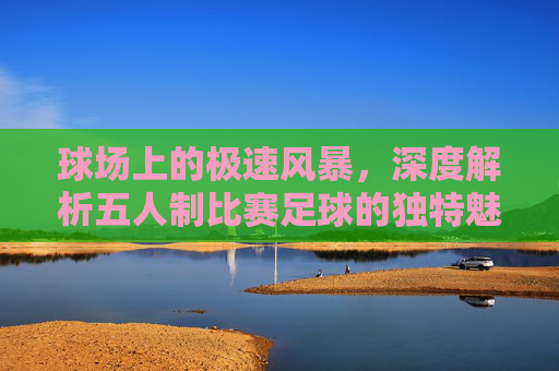 球场上的极速风暴，深度解析五人制比赛足球的独特魅力