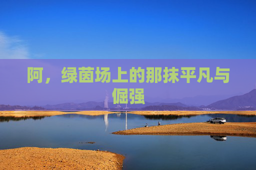 阿，绿茵场上的那抹平凡与倔强