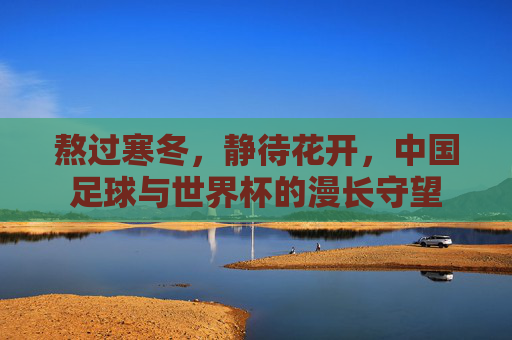 熬过寒冬，静待花开，中国足球与世界杯的漫长守望