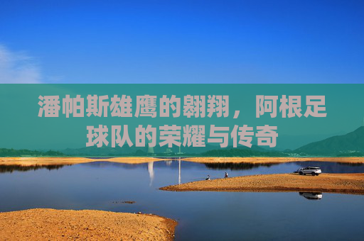 潘帕斯雄鹰的翱翔，阿根足球队的荣耀与传奇