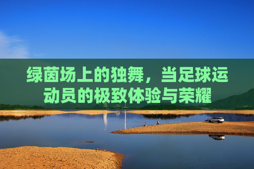绿茵场上的独舞，当足球运动员的极致体验与荣耀