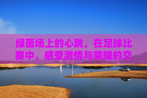 绿茵场上的心跳，在足球比赛中，感受激情与荣耀的交响