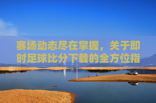赛场动态尽在掌握，关于即时足球比分下载的全方位指南