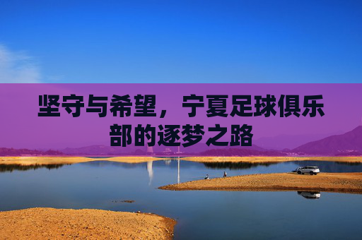 坚守与希望，宁夏足球俱乐部的逐梦之路