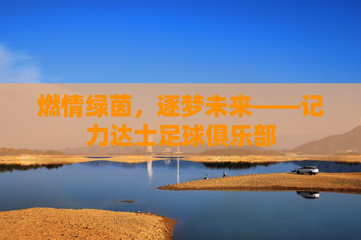燃情绿茵，逐梦未来——记力达士足球俱乐部