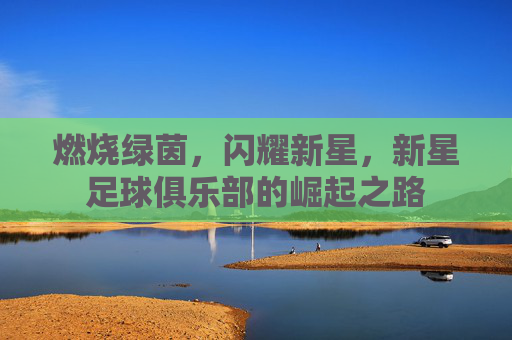 燃烧绿茵，闪耀新星，新星足球俱乐部的崛起之路