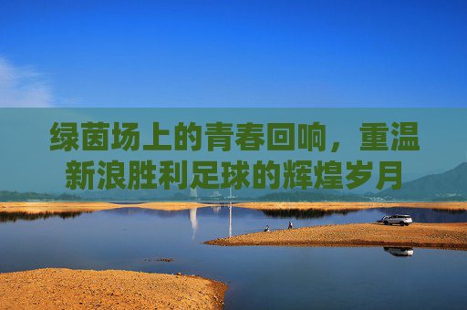 绿茵场上的青春回响，重温新浪胜利足球的辉煌岁月