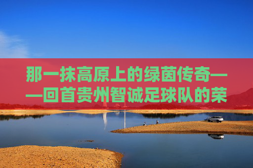 那一抹高原上的绿茵传奇——回首贵州智诚足球队的荣耀征途与悲情谢幕