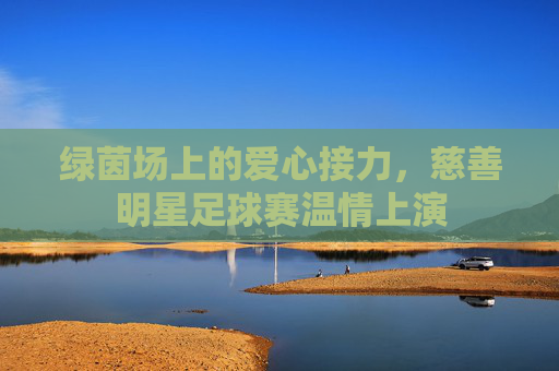 绿茵场上的爱心接力，慈善明星足球赛温情上演
