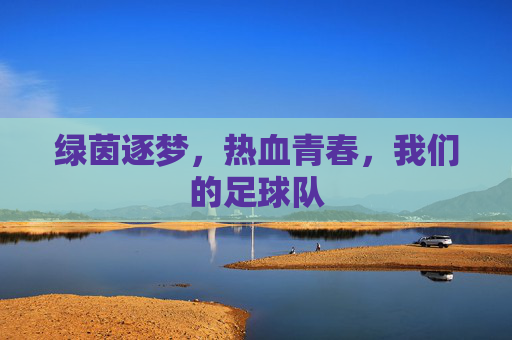 绿茵逐梦，热血青春，我们的足球队