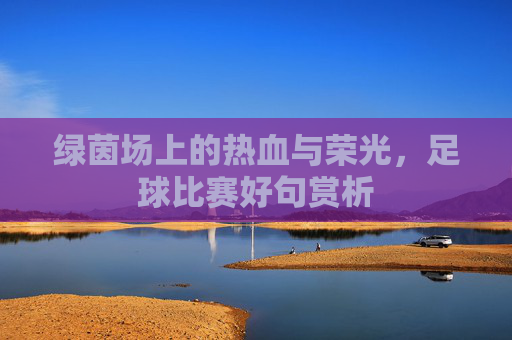 绿茵场上的热血与荣光，足球比赛好句赏析