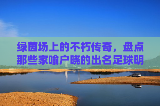 绿茵场上的不朽传奇，盘点那些家喻户晓的出名足球明星