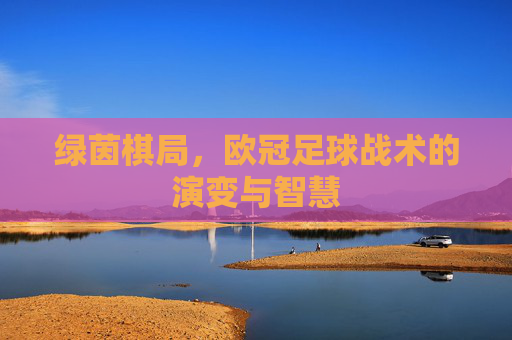 绿茵棋局，欧冠足球战术的演变与智慧