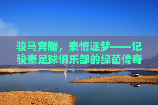 骏马奔腾，豪情逐梦——记骏豪足球俱乐部的绿茵传奇