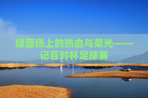 绿茵场上的热血与荣光——记百对杯足球赛