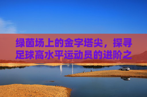 绿茵场上的金字塔尖，探寻足球高水平运动员的进阶之路