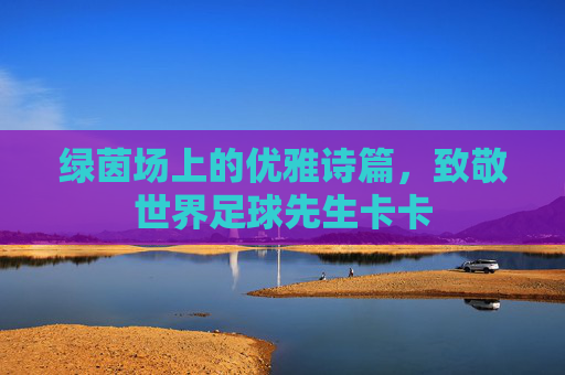 绿茵场上的优雅诗篇，致敬世界足球先生卡卡