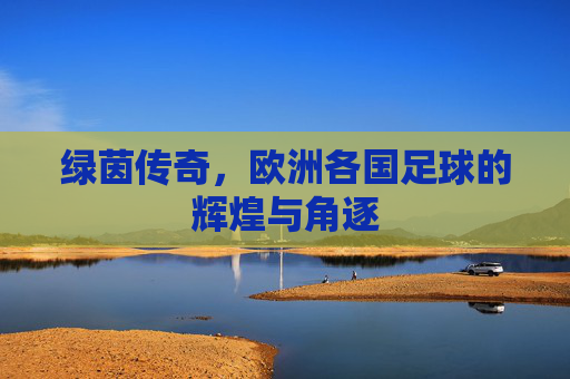 绿茵传奇，欧洲各国足球的辉煌与角逐