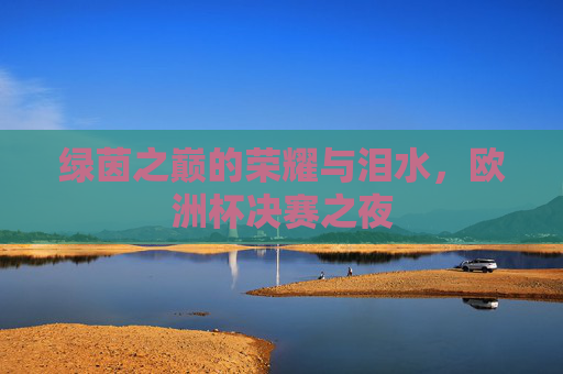 绿茵之巅的荣耀与泪水，欧洲杯决赛之夜