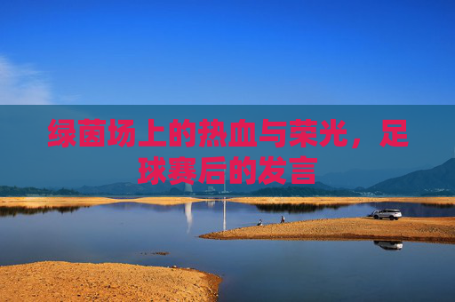 绿茵场上的热血与荣光，足球赛后的发言