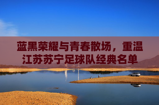 蓝黑荣耀与青春散场，重温江苏苏宁足球队经典名单