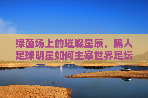 绿茵场上的璀璨星辰，黑人足球明星如何主宰世界足坛