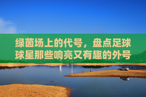 绿茵场上的代号，盘点足球球星那些响亮又有趣的外号
