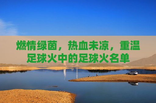 燃情绿茵，热血未凉，重温足球火中的足球火名单