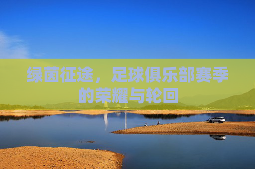 绿茵征途，足球俱乐部赛季的荣耀与轮回