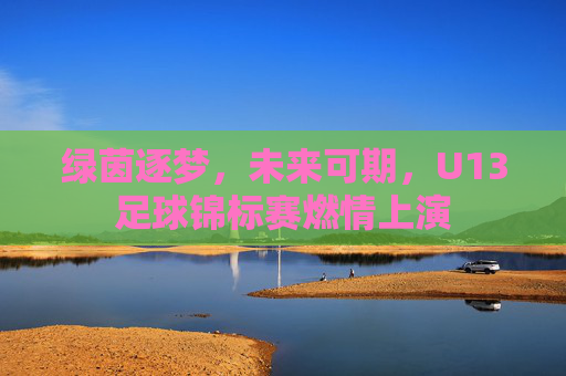 绿茵逐梦，未来可期，U13足球锦标赛燃情上演