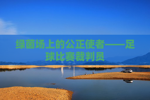 绿茵场上的公正使者——足球比赛裁判员