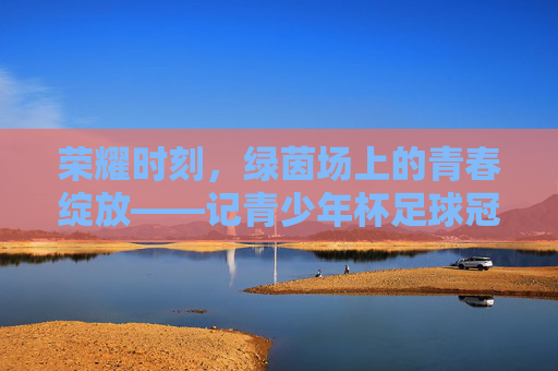 荣耀时刻，绿茵场上的青春绽放——记青少年杯足球冠军诞生
