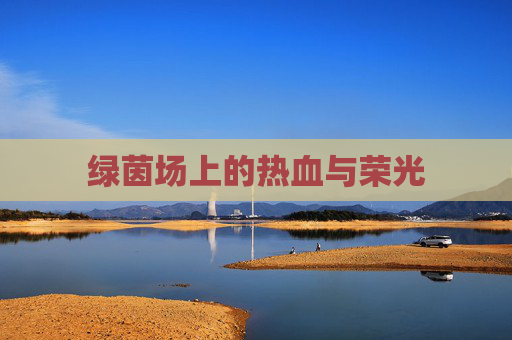 绿茵场上的热血与荣光