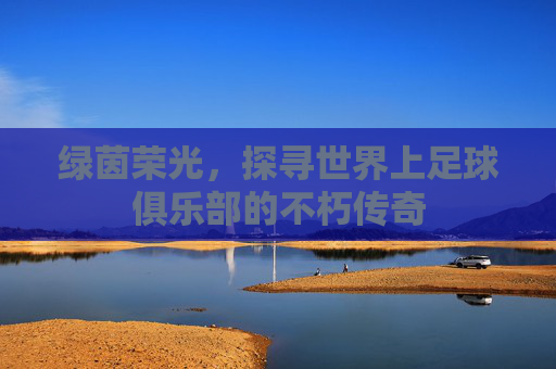 绿茵荣光，探寻世界上足球俱乐部的不朽传奇