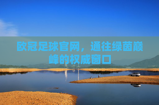 欧冠足球官网，通往绿茵巅峰的权威窗口