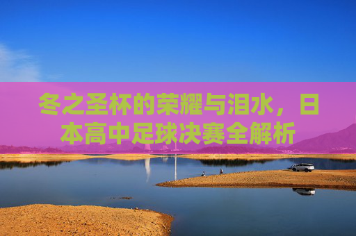 冬之圣杯的荣耀与泪水，日本高中足球决赛全解析
